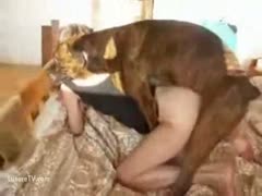 Perfect playgirl shoves her gazoo in the air so her dog can fuck her unfathomable 